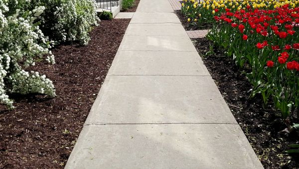 Cost of Concrete Sidewalk Service in Citrus Heights